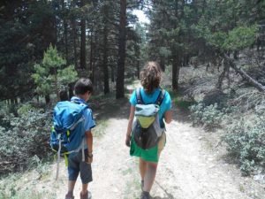 Sierra alta, Bronchales