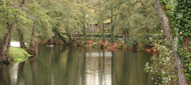 Provincia de Orense y Lugo