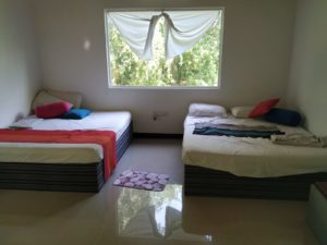 Lo mejor de Sri Lanka por libre