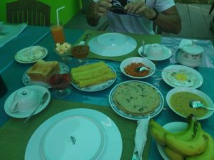 Lo mejor de Sri Lanka por libre