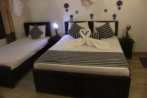 Lo mejor de Sri Lanka por libre