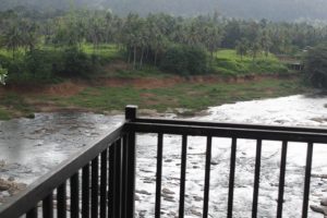 Lo mejor de Sri Lanka por libre