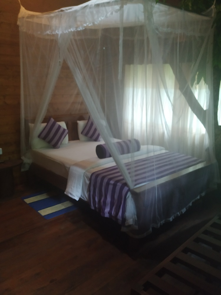 Lo mejor de Sri Lanka por libre