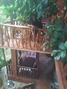 Lo mejor de Sri Lanka por libre