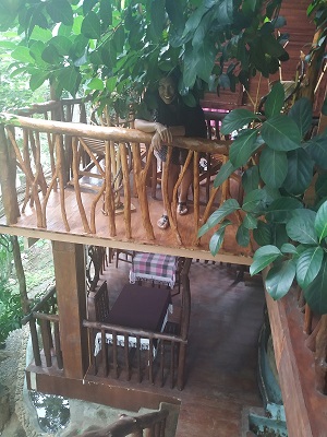 Lo mejor de Sri Lanka por libre