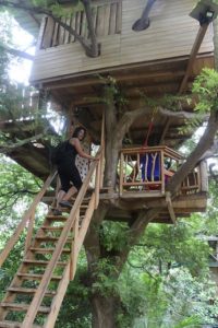 Lo mejor de Sri Lanka por libre