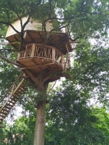 Lo mejor de Sri Lanka por libre