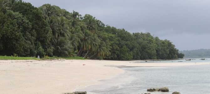 Día 8: Lo mejor de isla Havelock (islas del mar de Andaman)